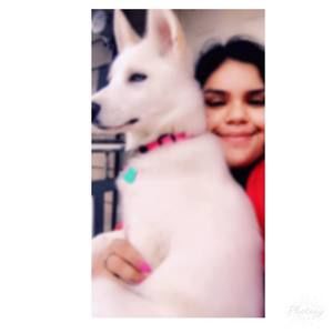 Meet your Posher, Danna